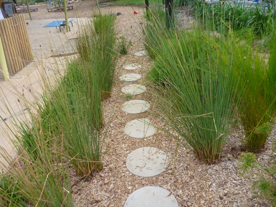 BotanicalTraditions_Landscape Design_Early Childhood